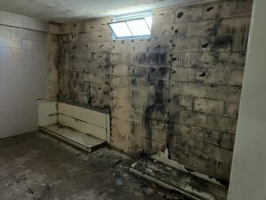Mold growth on a rental property wall illustrating California landlord mold liability risk
